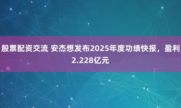 股票配资交流 安杰想发布2025年度功绩快报，盈利2.228亿元